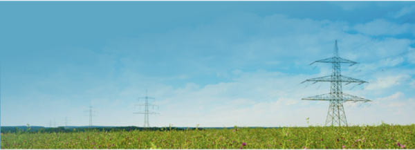 Eine ebene Feldlandschaft mit Strommasten im Hintergrund